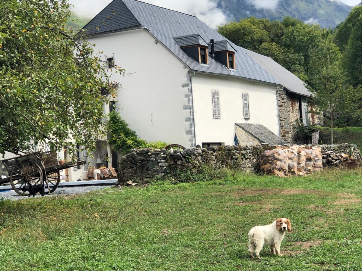 Bed and Breakfast L 'Air D'Aspe Accous Exteriér fotografie